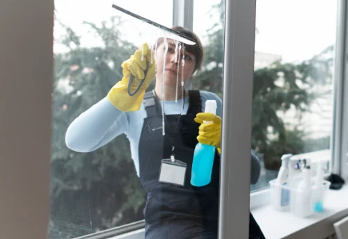 Nettoyage de vitres intérieures et extérieures à Jarnosse